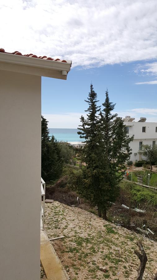 Hotel Sarajet E Pashait 2 Dhermi Exterior photo