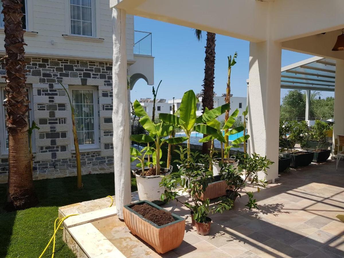 Hotel Sarajet E Pashait 2 Dhermi Exterior photo